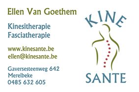 Kinesanté Logo